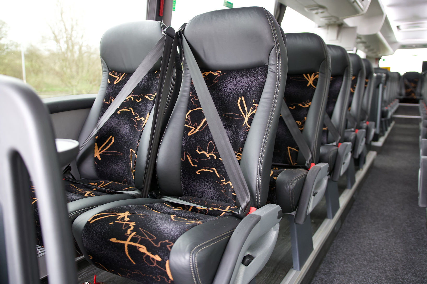 Coach seats